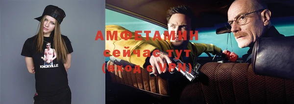 гидра Инсар