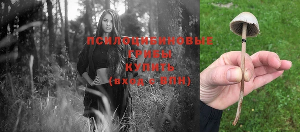 альфа пвп Инта