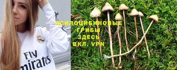 гидропоника Ессентукская