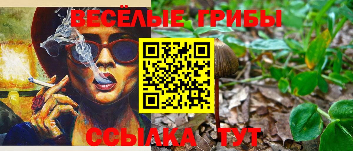 Галлюциногенные грибы MAGIC MUSHROOMS Рубцовск