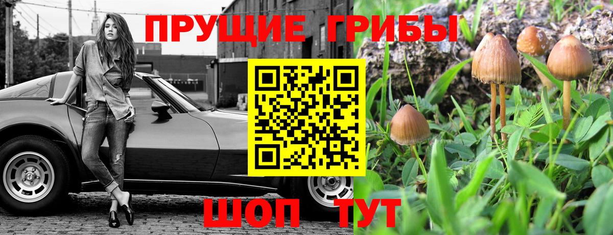 Рубцовск  Галлюциногенные грибы GOLDEN TEACHER  Вход с VPN  Галлюциногенные грибы Cubensis 